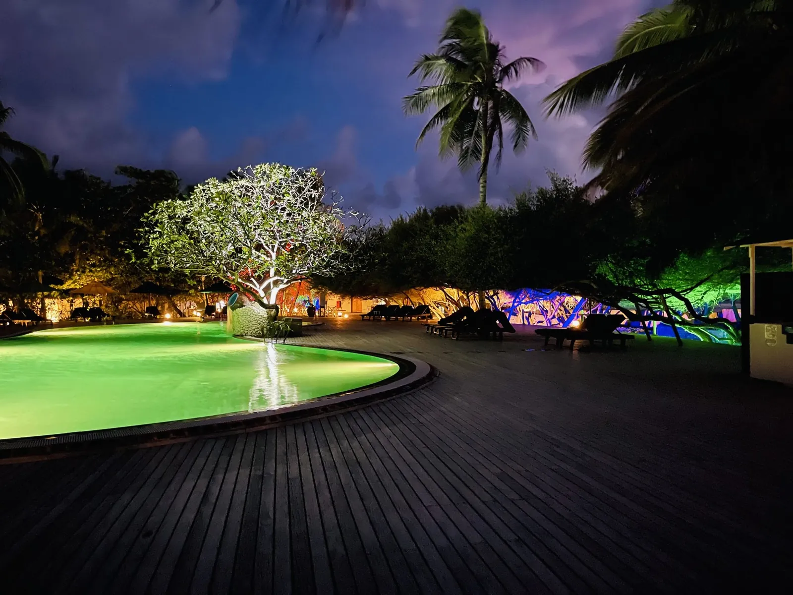 Pool with landscape lighting on trees and palms at twilight